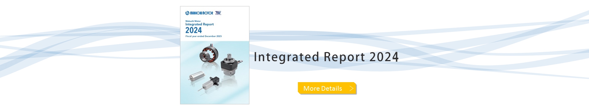 Integrated Report 2024